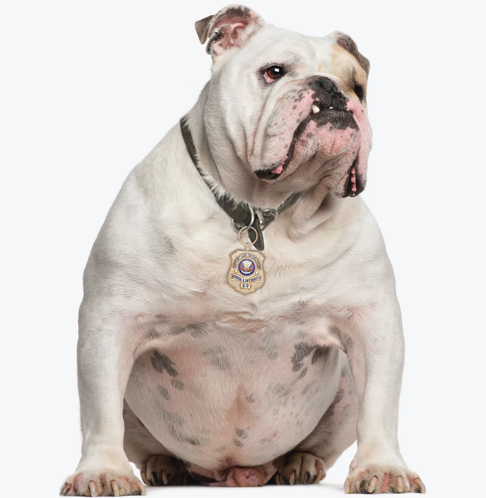 Gold-Plated K-9 Honor Badge Dog Tag