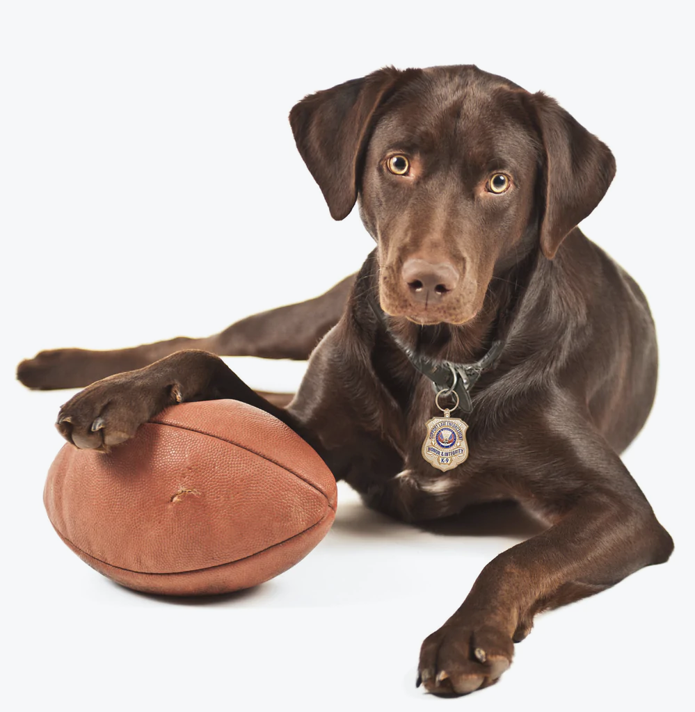 Gold-Plated K-9 Honor Badge Dog Tag