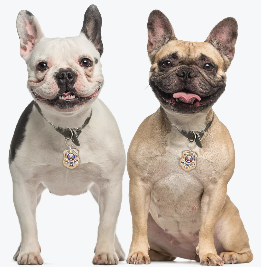 Gold-Plated K-9 Honor Badge Dog Tag