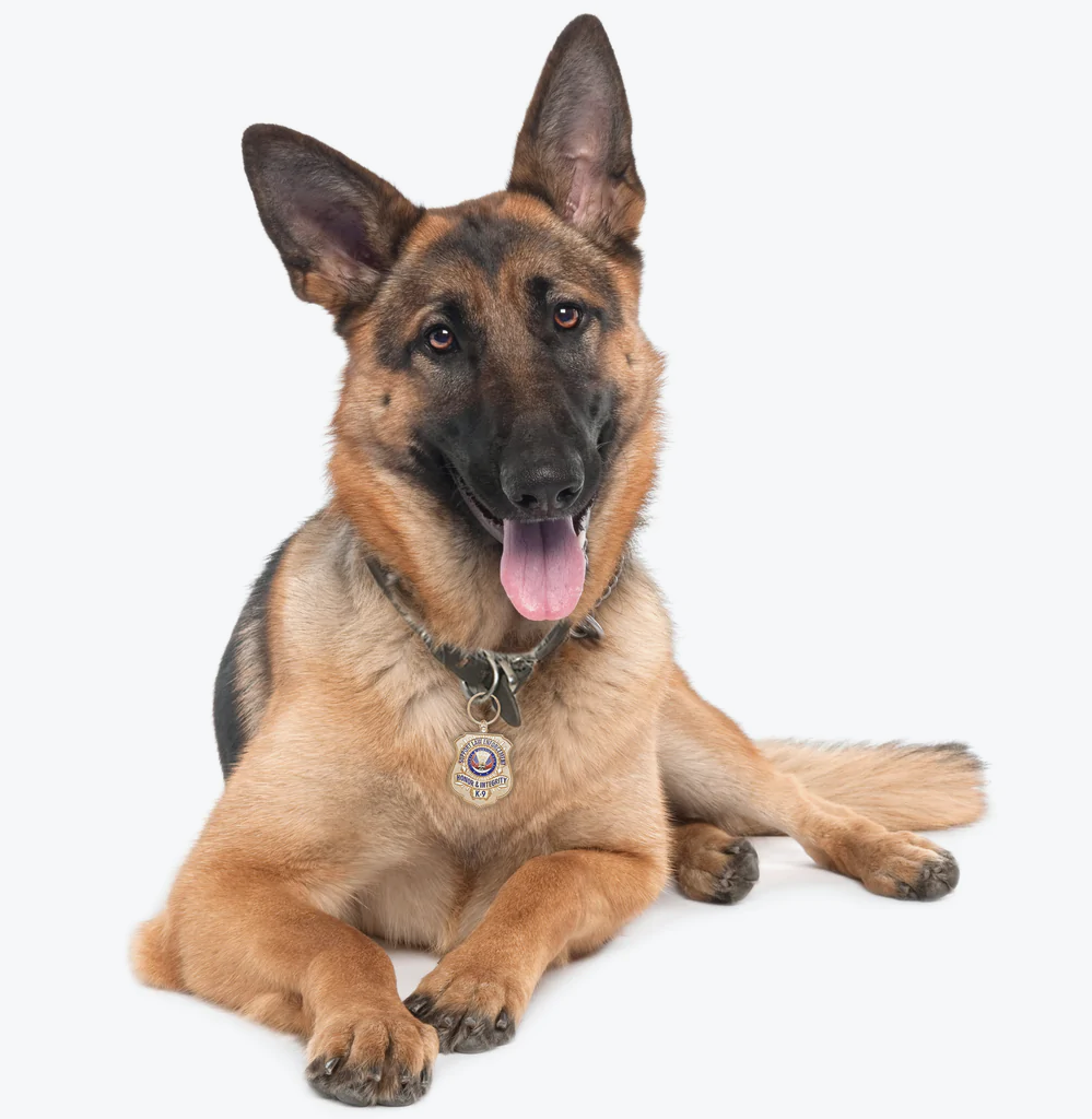 Gold-Plated K-9 Honor Badge Dog Tag