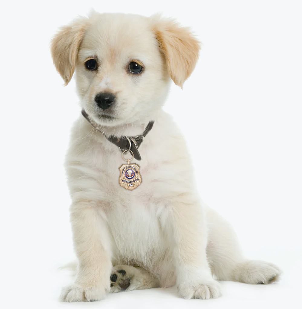 Gold-Plated K-9 Honor Badge Dog Tag